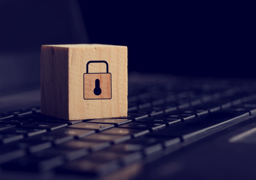 Tampa Tax Coach Privacy Policy
